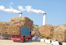 India’s Path to E20 Ethanol Blending Boosted by Increased Grain-Based Production