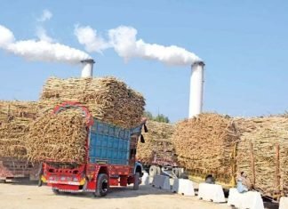 India’s Path to E20 Ethanol Blending Boosted by Increased Grain-Based Production