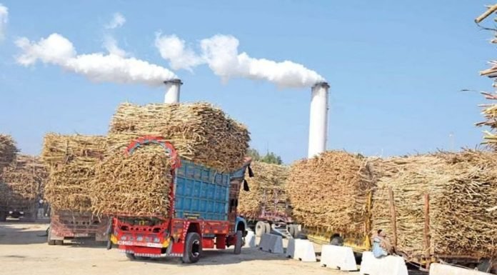 India’s Path to E20 Ethanol Blending Boosted by Increased Grain-Based Production