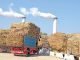 India’s Path to E20 Ethanol Blending Boosted by Increased Grain-Based Production