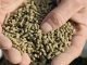 Meeting the Growing Demand: Strategies for Boosting India’s Animal Feed Exports
