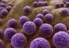 The AMR Dilemma: Experts’ Opinions and Insights