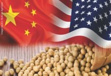 China’s Soybean Stockpile Surge: Implications for U.S. Export Season