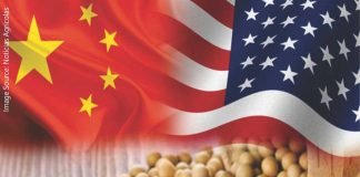 China’s Soybean Stockpile Surge: Implications for U.S. Export Season