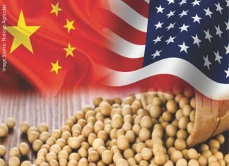China’s Soybean Stockpile Surge: Implications for U.S. Export Season
