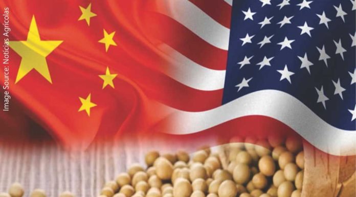 China’s Soybean Stockpile Surge: Implications for U.S. Export Season