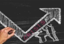 Appeal to Government Authorities to Address the Ingredient Crisis in the Indian Poultry and Livestock Industry