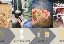 Future-Proofing Animal Nutrition: Trends in Feed Technology