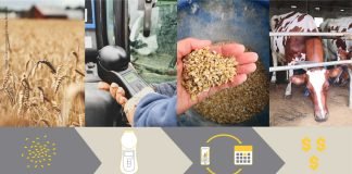 Future-Proofing Animal Nutrition: Trends in Feed Technology