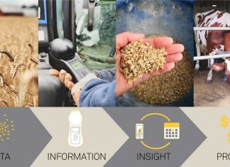Future-Proofing Animal Nutrition: Trends in Feed Technology
