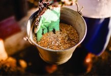 Ingredient IQ Can Help Navigate the Future of the Indian Feed and Poultry Industry