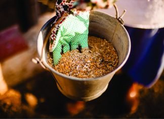 Ingredient IQ Can Help Navigate the Future of the Indian Feed and Poultry Industry