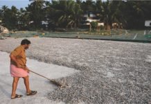 MPEDA Lifts Four-Year Moratorium on New Fish Meal Plants