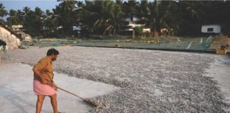 MPEDA Lifts Four-Year Moratorium on New Fish Meal Plants