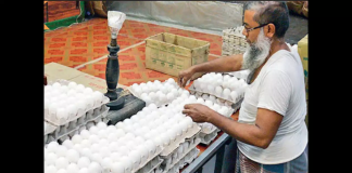 Government Rules Out Egg Imports to Protect Local Poultry Industry Amid Rising Prices