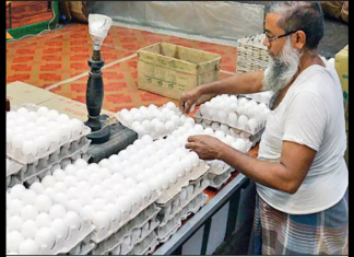Government Rules Out Egg Imports to Protect Local Poultry Industry Amid Rising Prices