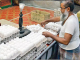 Government Rules Out Egg Imports to Protect Local Poultry Industry Amid Rising Prices