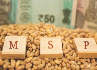 MSP Disparity: Maharashtra Soybean Farmers Grapple with Declining Prices