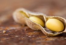 Importance of the quality evaluation of Soybean meal as a feed ingredient for poultry