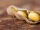 Importance of the quality evaluation of Soybean meal as a feed ingredient for poultry