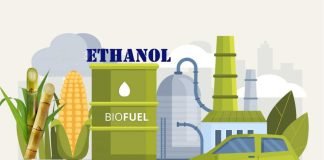 India’s Ethanol Initiative Transforms It into a Major Corn Importer, Supporting Global Markets