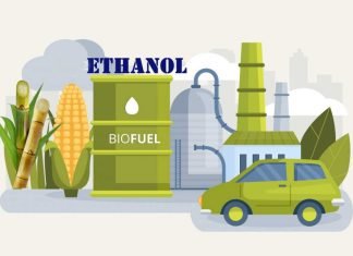India’s Ethanol Initiative Transforms It into a Major Corn Importer, Supporting Global Markets