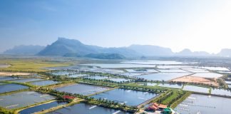 Revolutionizing Shrimp Farming: CIBA Unveils Next-Generation Precision Technology to Boost Production and Sustainability
