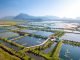 Revolutionizing Shrimp Farming: CIBA Unveils Next-Generation Precision Technology to Boost Production and Sustainability