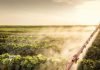 Charting the Future: Challenges and Opportunities in Indian Animal Feed and Agri Inputs