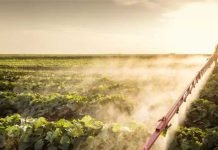 Charting the Future: Challenges and Opportunities in Indian Animal Feed and Agri Inputs