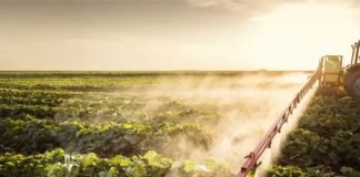 Charting the Future: Challenges and Opportunities in Indian Animal Feed and Agri Inputs