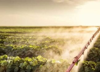 Charting the Future: Challenges and Opportunities in Indian Animal Feed and Agri Inputs