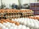 Egg Prices Surge Amid Winter Demand and Rising Exports
