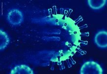 Antimicrobial Resistance Gene Profile Identified in Poultry from Kerala and Telangana: Study