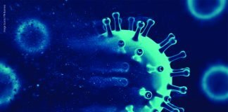 Antimicrobial Resistance Gene Profile Identified in Poultry from Kerala and Telangana: Study