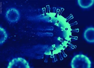 Antimicrobial Resistance Gene Profile Identified in Poultry from Kerala and Telangana: Study
