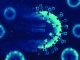 Antimicrobial Resistance Gene Profile Identified in Poultry from Kerala and Telangana: Study