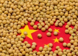 China Faces Challenges in Increasing Soybean Production