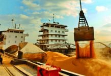 China’s October Soybean Imports from the U.S. Surge for Seventh Consecutive Month