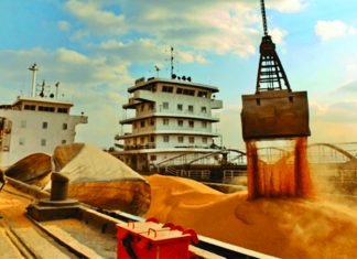 China’s October Soybean Imports from the U.S. Surge for Seventh Consecutive Month