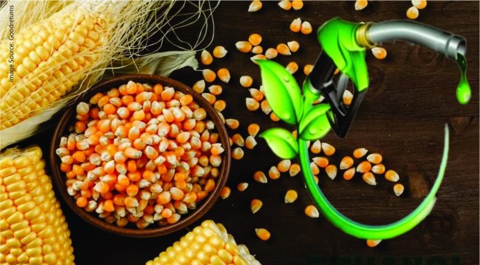 Ethanol Producers Projected to Need 11.3 Million Tonnes of Maize This Year