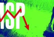 Soybean Prices Remain Below MSP Despite Import Duty Hike