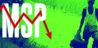 Soybean Prices Remain Below MSP Despite Import Duty Hike