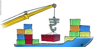 SEA Seeks Government Support to Boost Rapeseed Meal Exports and Support Mustard Farmers