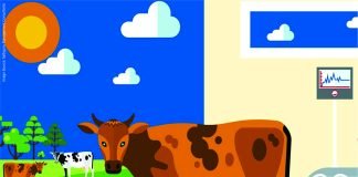 Dairy Farm Economics in India