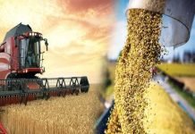 Agricultural Security – High on the Agenda for China
