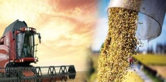 Agricultural Security – High on the Agenda for China