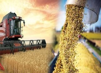 Agricultural Security – High on the Agenda for China