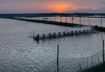 Weakening Indian Rupee: A Blessing in Disguise