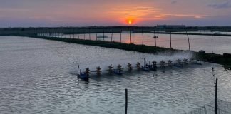 Weakening Indian Rupee: A Blessing in Disguise